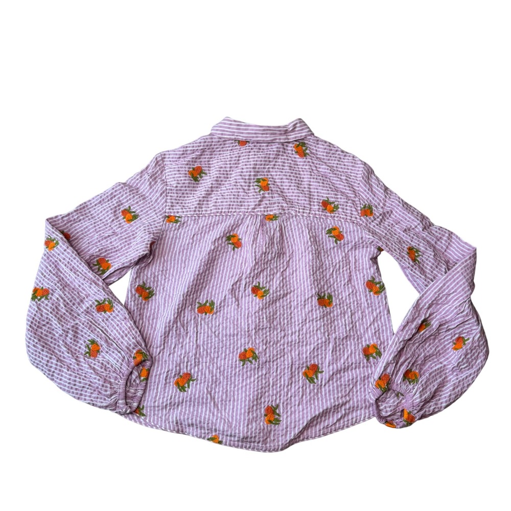 Anthropologie Maeve Embroidered Button Down Fruit Striped Size Small - Picture 4 of 8